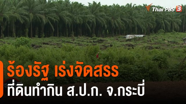 สถานีร้องเรียน : ร้องรัฐเร่งจัดสรรที่ดินทำกิน ส.ป.ก. จ.กระบี่