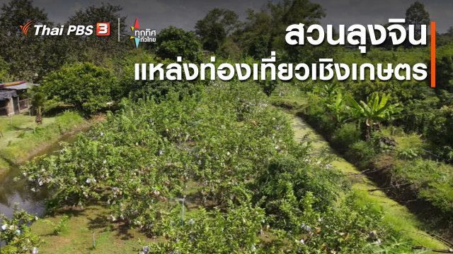 อาชีพทั่วไทย : สวนลุงจินแหล่งท่องเที่ยวเชิงเกษตร จ.ศรีสะเกษ
