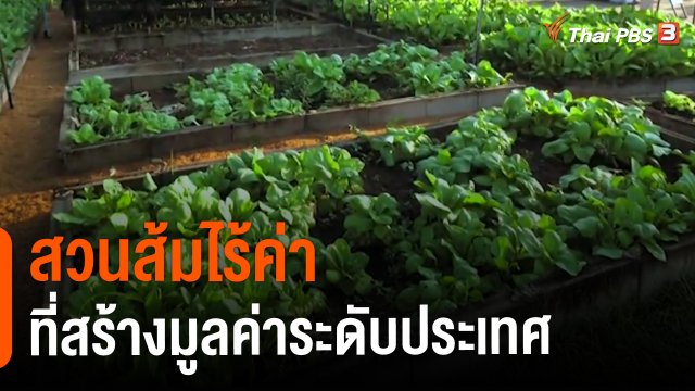 ​ดอกผลของความยั่งยืน : สวนส้มไร้ค่า ที่สร้างมูลค่าระดับประเทศ