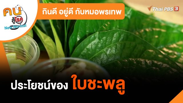 กินดีอยู่ดีกับหมอพรเทพ : ประโยชน์ของใบชะพลู