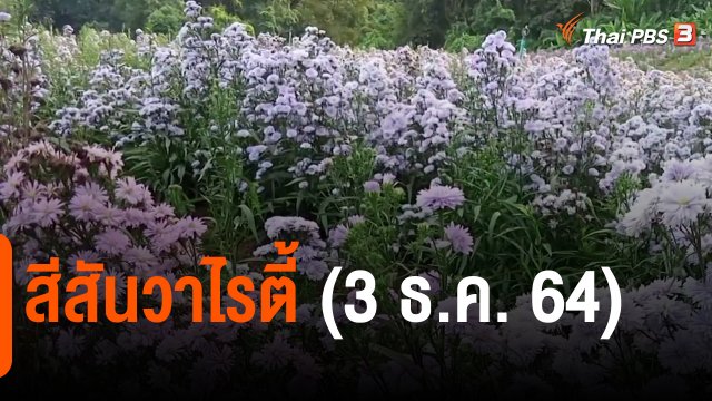 ​สีสันวาไรตี้ (3 ธ.ค. 64)