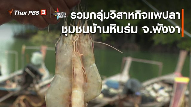 อาชีพทั่วไทย : รวมกลุ่มวิสาหกิจแพปลาชุมชนบ้านหินร่ม จ.พังงา