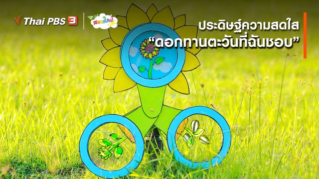 ไอเดียสอนศิลป์ : ประดิษฐ์ความสดใส “ดอกทานตะวันที่ฉันชอบ”