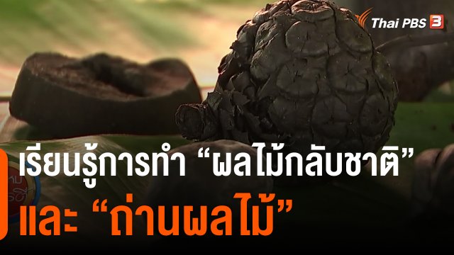 วันใหม่วาไรตี้ : เรียนรู้การทำ "ผลไม้กลับชาติ" และ "ถ่านผลไม้"