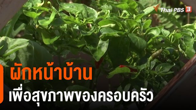 ดอกผลของความยั่งยืน : ผักหน้าบ้าน เพื่อสุขภาพของครอบครัว