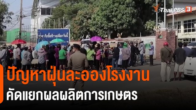 ​สถานีร้องเรียน : ปัญหาฝุ่นละอองโรงงานคัดแยกผลผลิตการเกษตร จ.พระนครศรีอยุธยา