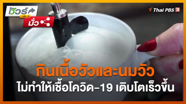 ชัวร์หรือมั่ว : กินเนื้อวัวและนมวัว ไม่ทำให้เชื้อโควิด-19 เติบโตเร็วขึ้น