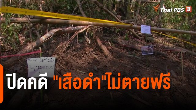 แตกประเด็นข่าว : ปิดคดี"เสือดำ"ไม่ตายฟรี