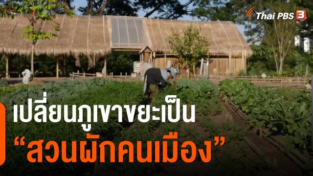 ประเด็นสังคม : เปลี่ยนภูเขาขยะเป็น "สวนผักคนเมือง" แหล่งอาหาร สร้างอาชีพ เพิ่มพื้นที่สีเขียว
