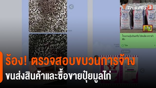 ​สถานีร้องเรียน : ร้อง! ตรวจสอบขบวนการจ้างขนส่งสินค้าและซื้อขายปุ๋ยมูลไก่ สูญเงินกว่า 400,000 บาท จ.สุราษฎร์ธานี