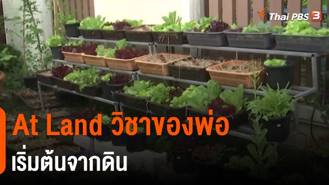 ​ดอกผลของความยั่งยืน : At Land วิชาของพ่อเริ่มต้นจากดิน