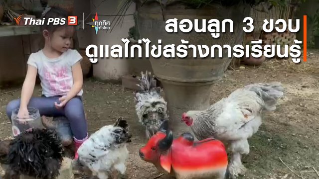 วิถีทั่วไทย : สอนลูก 3 ขวบดูแลไก่ไข่สร้างการเรียนรู้
