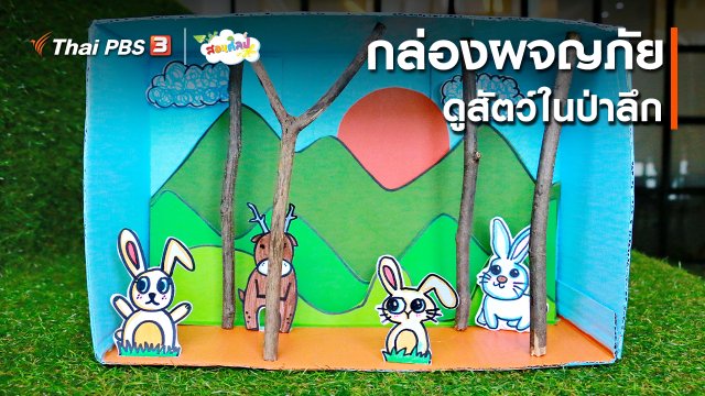 ไอเดียสอนศิลป์ : กล่องผจญภัยดูสัตว์ในป่าลึก