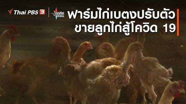 ฟาร์มไก่เบตงปรับตัวขายลูกไก่สู้โควิด 19 จ.ยะลา