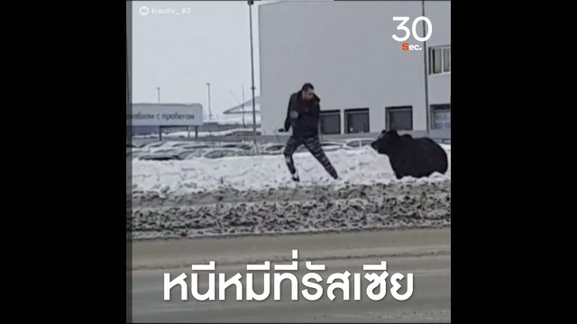 หนีหมีที่รัสเซีย