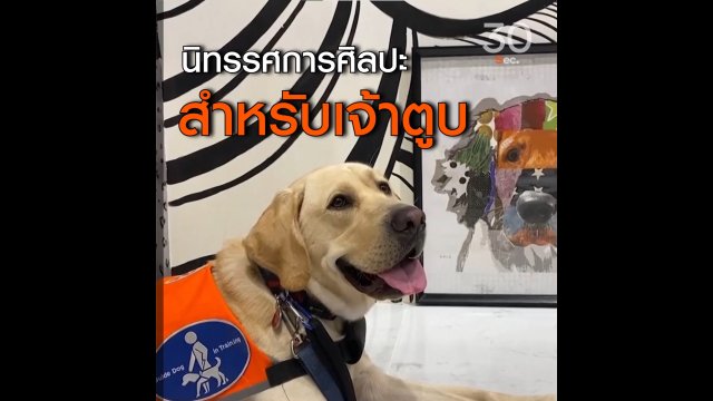 นิทรรศการ สำหรับเจ้าตูบ