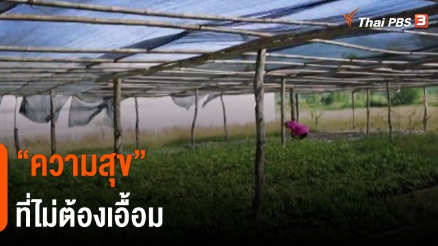 ​ดอกผลของความยั่งยืน : "ความสุข" ที่ไม่ต้องเอื้อม