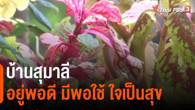 ​ดอกผลของความยั่งยืน : บ้านสุมาลี อยู่พอดี มีพอใช้ ใจเป็นสุข