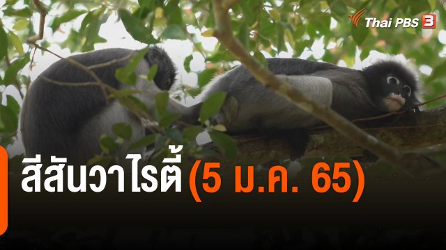 สีสันวาไรตี้ (5 ม.ค. 65)