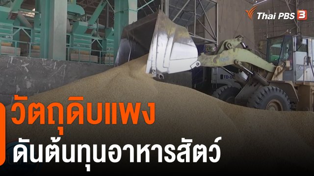 กินอยู่รู้รอบ : วัตถุดิบแพงดันต้นทุนอาหารสัตว์