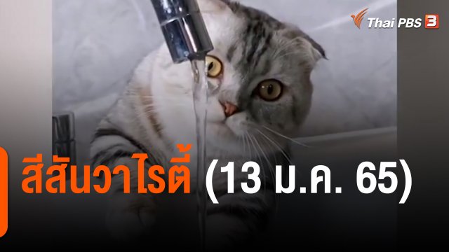 สีสันวาไรตี้ (13 ม.ค. 65)