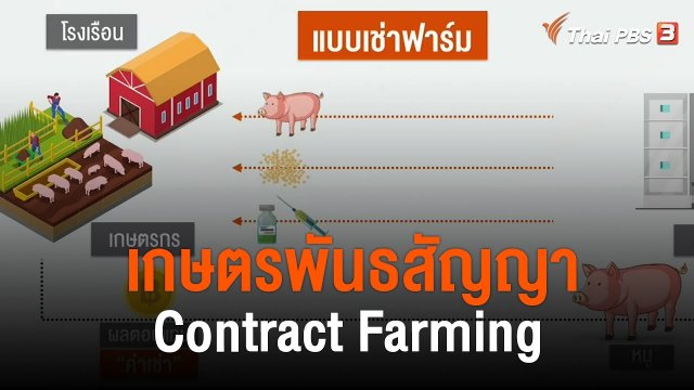 เกษตรพันธสัญญา Contract Farming
