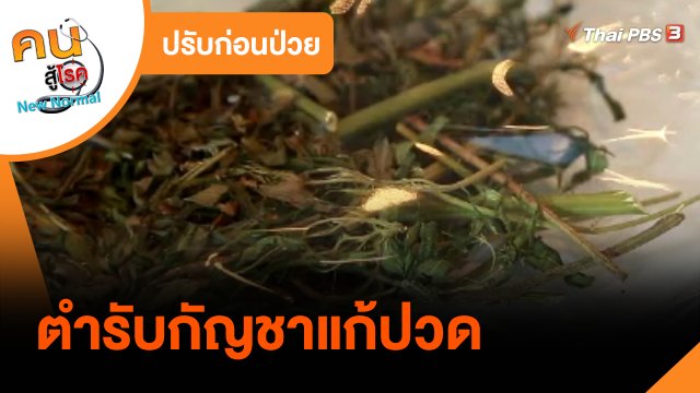 ปรับก่อนป่วย : ตำรับกัญชาแก้ปวด