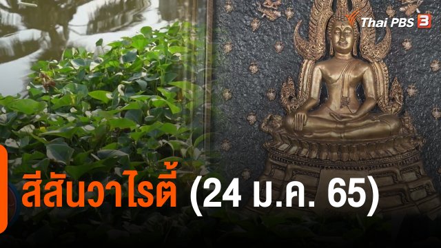 สีสันวาไรตี้ (24 ม.ค. 65)