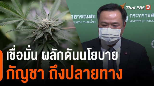 ภูมิใจไทย เชื่อมั่น ผลักดันนโยบายกัญชาถึงปลายทาง