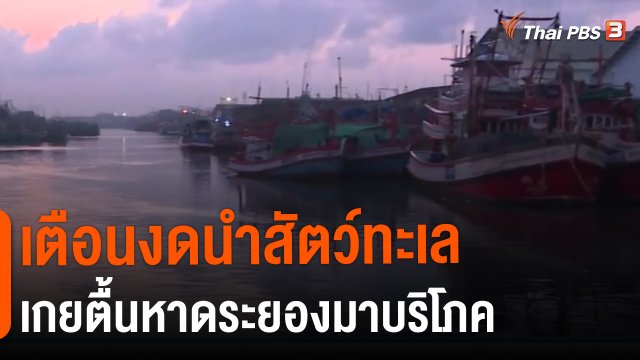 ​เตือนงดนำสัตว์ทะเลเกยตื้นหาดระยองมาบริโภค