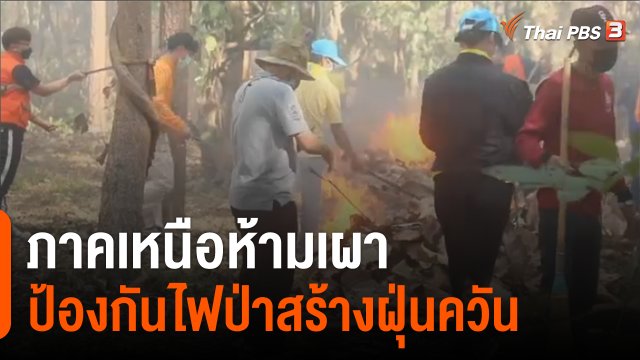 ภาคเหนือห้ามเผา ป้องกันไฟป่าสร้างฝุ่นควัน