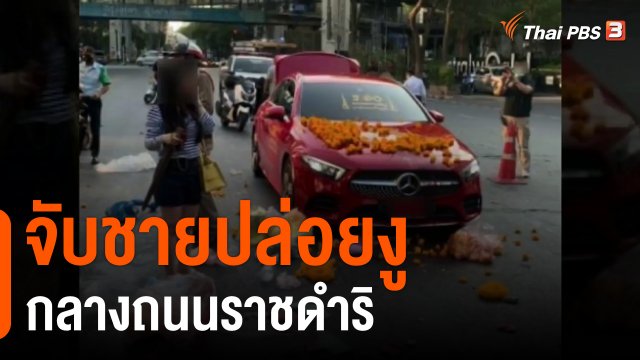 จับชายปล่อยงูกลางถนนราชดำริ