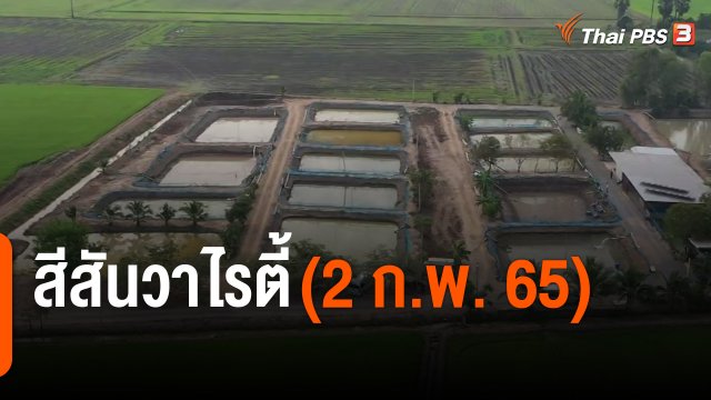 สีสันวาไรตี้ (2 ก.พ. 65)