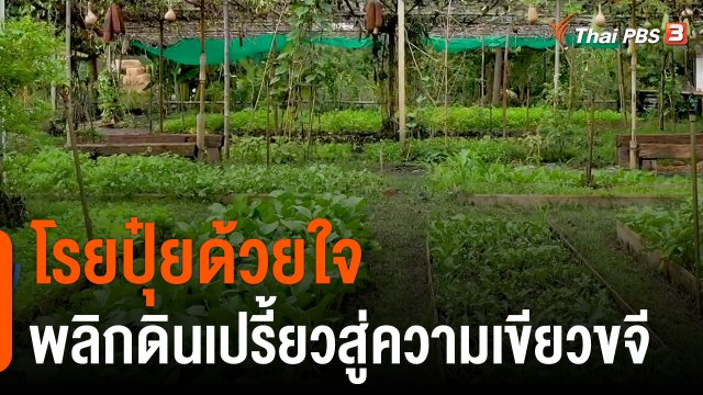 ดอกผลของความยั่งยืน : โรยปุ๋ยด้วยใจ พลิกดินเปรี้ยวสู่ความเขียวขจี