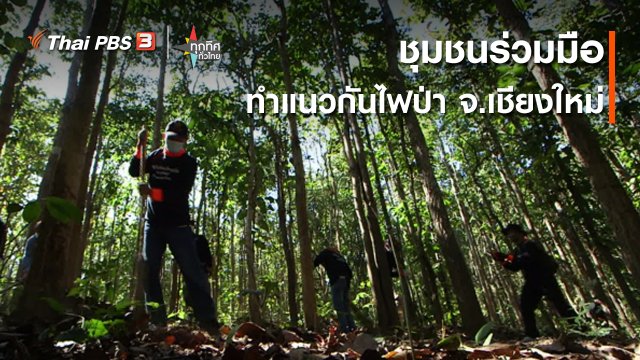 วิถีทั่วไทย : ชุมชนร่วมมือทำแนวกันไฟป่า จ.เชียงใหม่