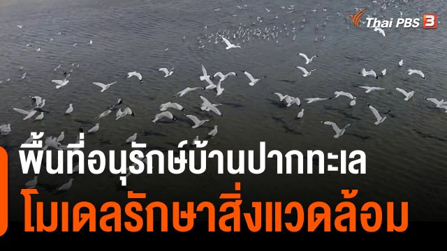 ประเด็นสังคม : พื้นที่อนุรักษ์บ้านปากทะเล โมเดลรักษาสิ่งแวดล้อม