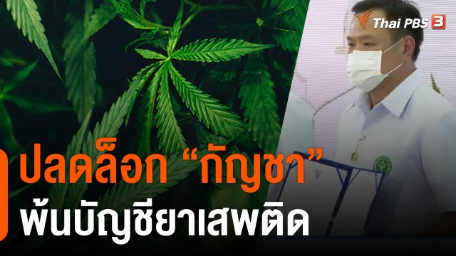 ปลดล็อก "กัญชา" พ้นบัญชียาเสพติด
