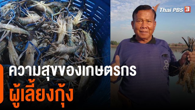 ดอกผลของความยั่งยืน : ความสุขของเกษตรกรผู้เลี้ยงกุ้ง