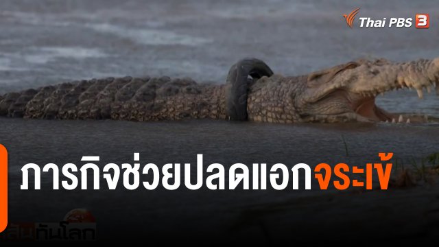 ภารกิจช่วยปลดแอกจระเข้