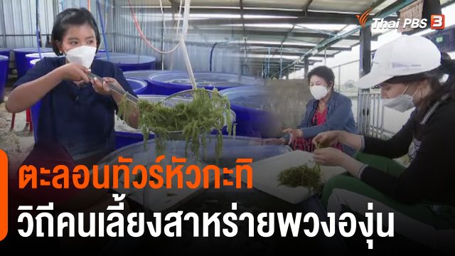 สีสันวาไรตี้ (11 ก.พ. 65)