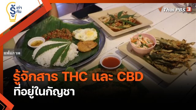 รู้เท่ารู้ทัน : ทำความรู้จักสาร "THC" และ "CBD" ในกัญชา