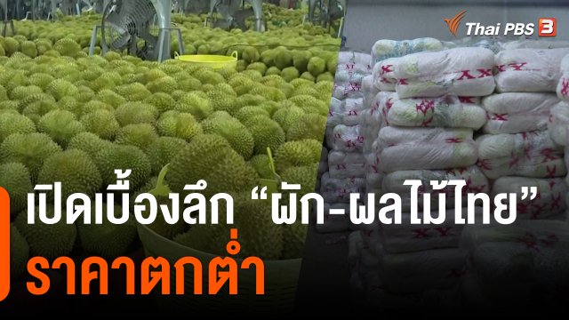 เปิดเบื้องลึก “ผัก-ผลไม้ไทย” ราคาตกต่ำ