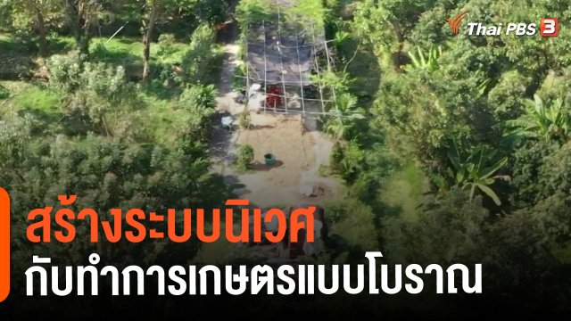 ​ดอกผลของความยั่งยืน : สร้างระบบนิเวศกับทำการเกษตรแบบโบราณ