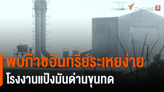 ​ร้องโรงงานแป้งมันด่านขุนทดส่งกลิ่นรบกวน