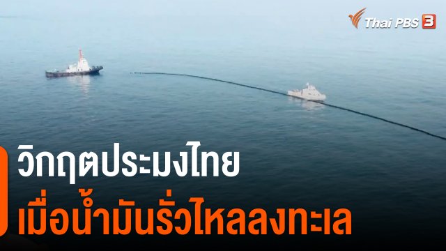 ​ประเด็นสังคม : วิกฤตประมงไทย เมื่อน้ำมันรั่วไหลลงทะเล
