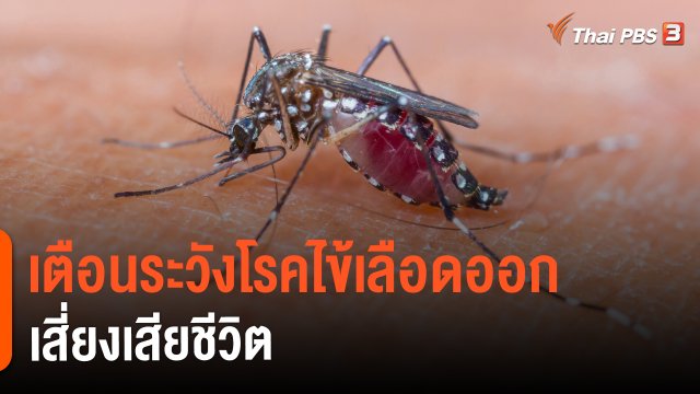 ​เตือนระวังโรคไข้เลือดออกเสี่ยงเสียชีวิต