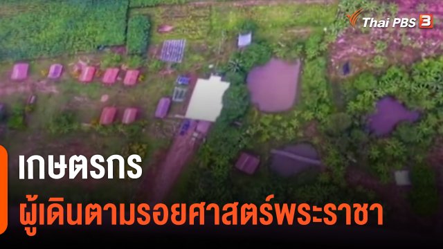 ​ดอกผลของความยั่งยืน : เกษตรกรผู้เดินตามรอยศาสตร์พระราชา