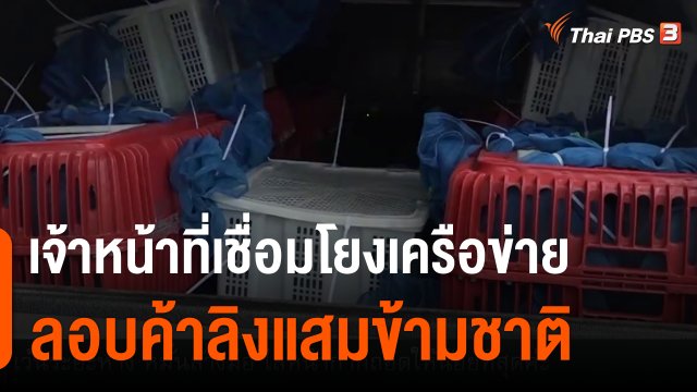 เจ้าหน้าที่เชื่อมโยงเครือข่ายลอบค้าลิงแสมข้ามชาติ