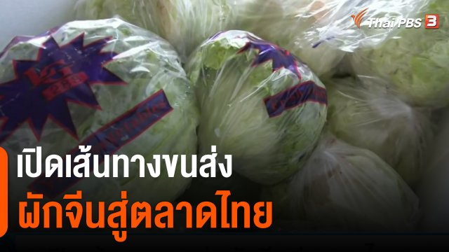 ​กินอยู่รู้รอบ : เปิดเส้นทางขนส่งผักจีนสู่ตลาดไทย