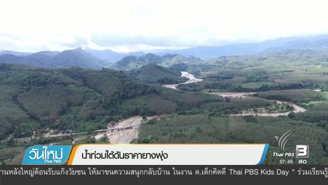 น้ำท่วมใต้ดันราคายางพุ่ง